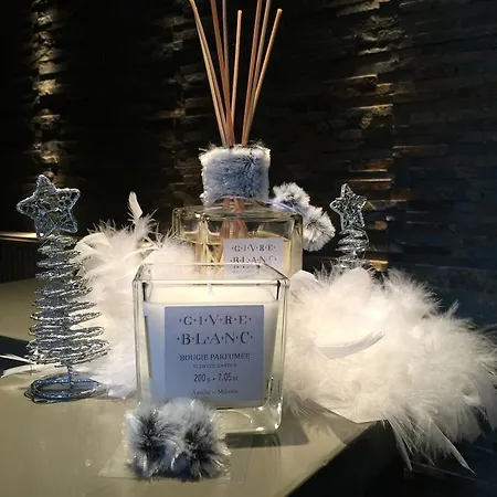 Le Cocon Des Neiges & מלון 4*