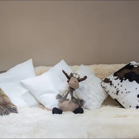 Le Cocon Des Neiges &