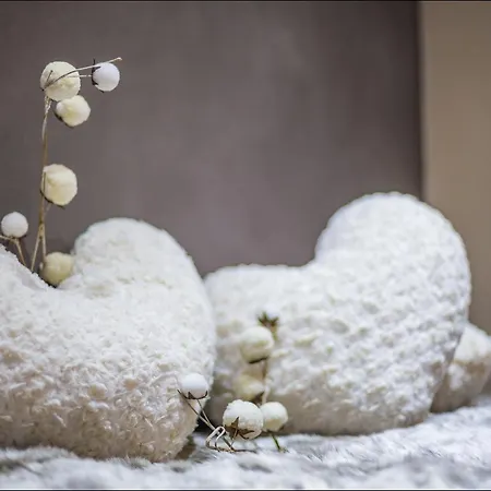 Ξενοδοχείο Le Cocon Des Neiges & 4*